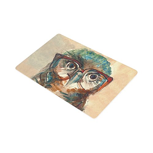 Interestprint Funny Owl With Big Eyes Indoor Outdoor Entrance Rug Floor Mats Shoe Scraper Doormat Non-Slip Home Decor, Rubber Backing 30"(L) X 18"(W) #TOP1