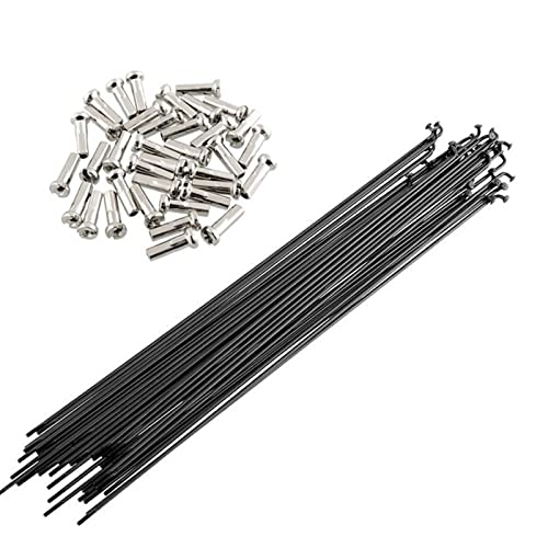 Rayons de vélo haute résistance 14G en acier noir pour roue VTT 259mm