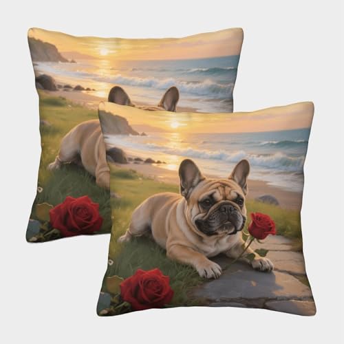 Funda De Cojín con Bulldog Francés Juego De 2, Microfibra Suave Funda De Almohada con Cremallera Invisible, Fundas Cuadradas para Sofá Coche Cama Sillas, 50x50cm