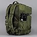 WOLFpak 45L Backpack OD Green