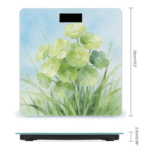 Báscula Digital LZQPOEAS con Pantalla LCD Grande y Precisión miniatura 2
