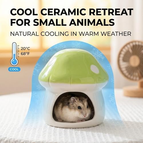 Maison en céramique pour hamster anti-mastication abri propre