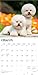 Bichon Frise | 2026 12 x 24 Inch (Hanging) Monthly Square Wall Calendar | Plastic-Free | BrownTrout | Animals Dog Breeds