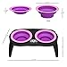 Elevated Cat and Dog Food Bowls with Non-Slip Stand - Removable and Collapsible Silicone Feeder for Food and Water - 16-Ounces Each by PETMAKER (Pink)