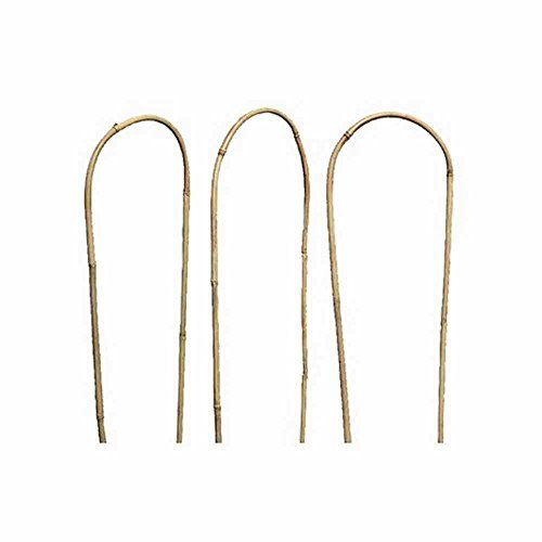Siena Garden Rankhilfe 150cm 3er Bund Bambus, U-Form, Ø14-16mm