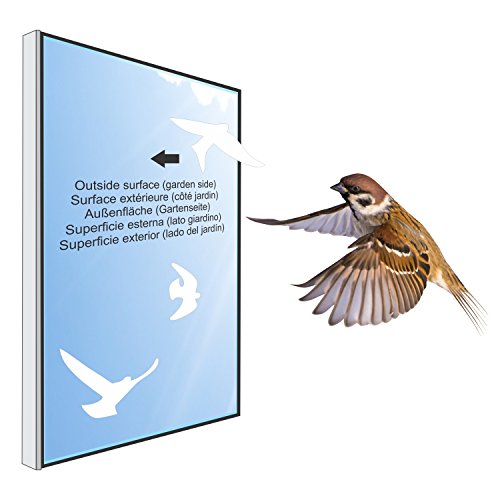 Anti-Collision Stickers To Prevent Bird Strikes On Window Glass - Set Of 17 Silhouettes - Color: White - Window Decals #TOP4
