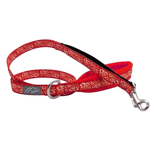 Hakusan(nNT) bVnhEAn[h (Xgx[An)