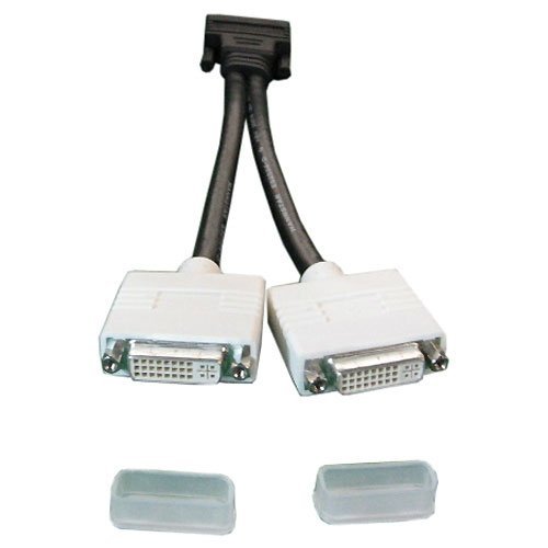 Câble Splitter DMS-59 Vers 2 X DVI – 10 Pouces – Pour Double Écran – Compatible Cartes Graphiques NVIDIA, AMD, Matrox