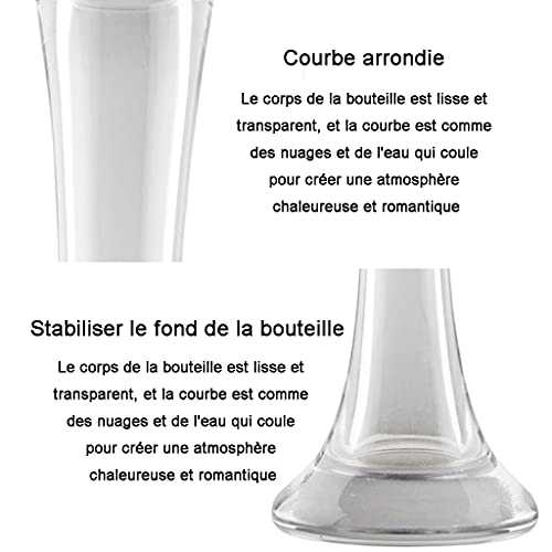 Vase moderne et simple transparent pour valoriser de grandes fleurs séchées