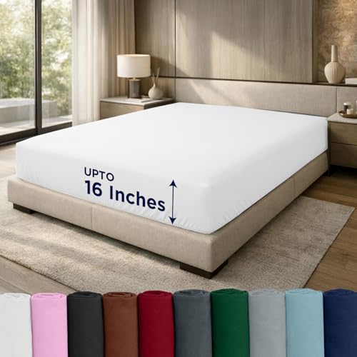 DAN RIVER 100% Cotton Jersey Fitted Sheet, Queen, White, 16 Inch