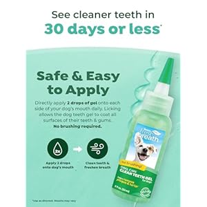 TropiClean Clean Teeth Gel for Dogs | Dog Dental Care | Dog Toothpaste | Breath Freshener | Easy Teeth Cleaning | Made in The USA | 2 oz.