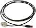 Produktbild Bachmann 918.033 Patch-Leitung CAT6a