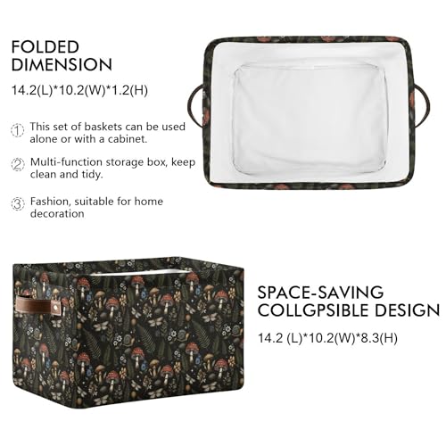 Image of Mushroom Botanical Storage Basket Fabric Kitchen Baskets Dragonfly Berry Flowers Fern Open Home Storage Bins Boxes Foldable Organizer Bag for Baby Cloth Pet Toy Book Shelf Closet Baskets 16x12x8 IN