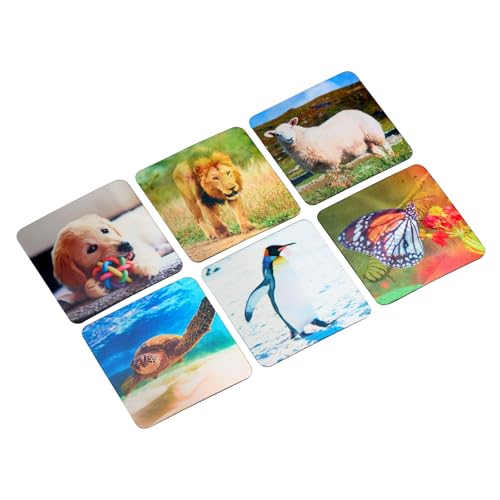 Really Good Stuff Lenticular Cards- Set of 12