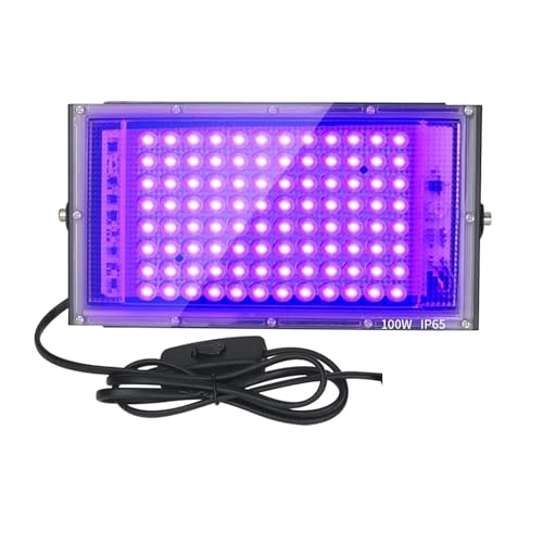 Dignife 100W Schwarzlicht-Flutlicht mit Stecker