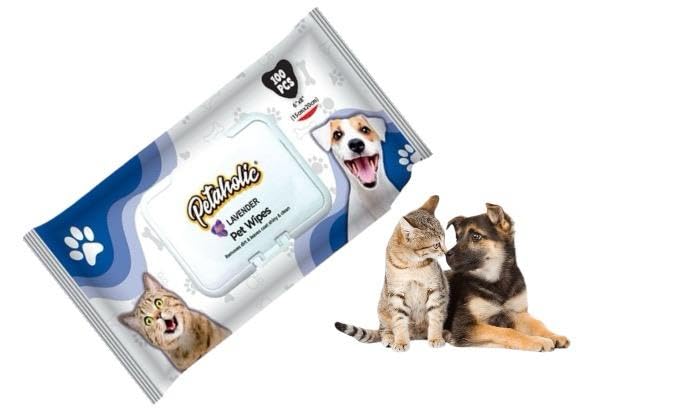 Waggytails Orignal Petaholic Wet Wipe for Dog,Cat & Pets/Pet Grooming/Dry Bath Dog Wipes/Cat Wipes/Enriched with Lavender Scent and Vitamin E | 100 Pet Wipes for Dogs & Cats (Pack of 1) (B0CJFKP1BY) Amazon Price History, Amazon Price Tracker