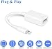 VELLEE Upgraded USB Camera Adapter, USB OTG Cable Adapter Compatible with iPhone/iPad, Support iOS 13 and Before, USB Female Supports Connect Card Reader, U Disk, Keyboard, Mouse, USB Flash Drive