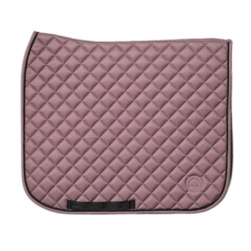 n [bP Thpbh tFA Thpbh _XeB[Y QƁ^Ɨp npi n