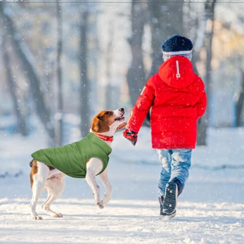 Meiwash Hundejacke, warm, für den Winter, gefüttert, für französische Bulldogge oder Mops