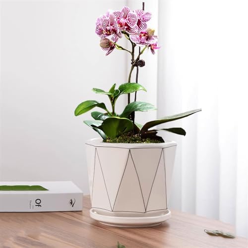 Pots de fleurs succulentes céramique noir grand format moyen balcon - 5