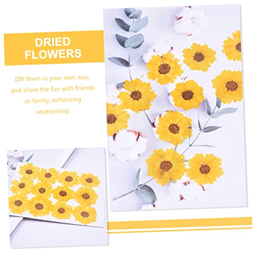 Flores secas margaritas 24 piezas para manualidades DIY miniatura 5