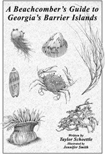 Plastic Comb A Beachcombers Guide to Georgias Barrier Islands Book