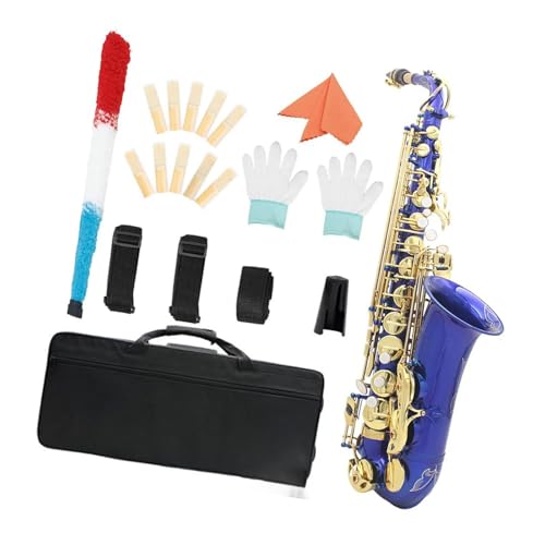 プロ仕様アルトサ�?クス E♭アルトサ�?クス ブルーゴールドキー E楽器セ�?�?(Set1)