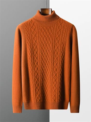 Men Turtleneck Wool Sweater Autumn Winter Thick Knit Long Sleeve Casual Pullover Knitwear2