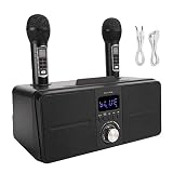 Sonido dentro medio ambiente, uno llave para eliminar original sonido para dar usted nuevo cantando experiencia, dar usted KTV experiencia, voz increíble.