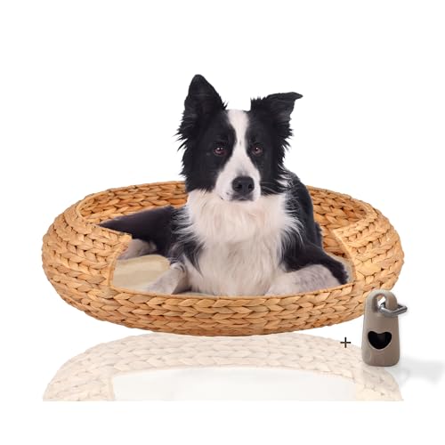 Rohrschneider® runder Hundekorb aus geflochtener Wasserhyazinthe| herausnehmbares, waschbares Kissen| gemütliches Hundesofa für kleine,mittelgroße u. große Hunde| Gr. XXL (L 83 x B 83 x H 20 cm)