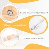 Zoom IMG-2 whiznook 4 pezzi basi in Zoom IMG-2 whiznook 4 pezzi basi in