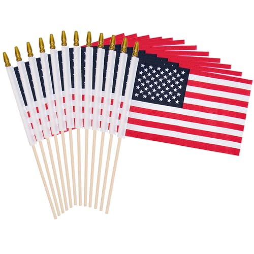 12 Pack Small American Flags on Stick Small US...