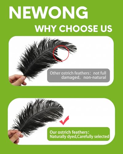 NEWONG 30pcs Black Ostrich Feathers Natural Bulk 9-12inch(23-30cm) Vase Craft Wedding Home Party Centerpieces Christmas Day Decoration - Image 5