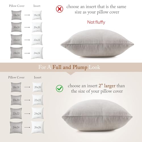 Image of puredown 20x20 Feather Down Pillow Insert, 1 Pack Throw Pillow Insert for Couch, Chairs, Office, Apartments