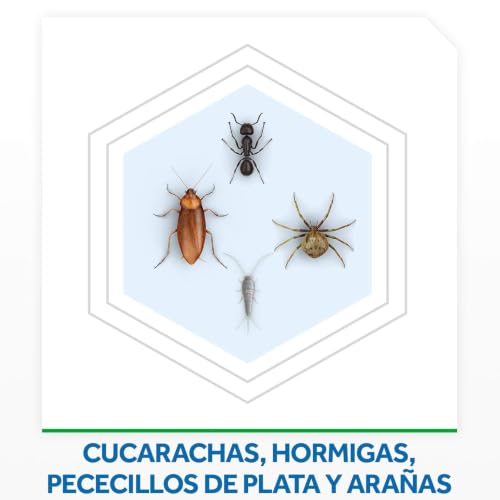Miniatura 3 de Baygon Aerosol - Insecticida Para Cucarachas, Hormigas Y Chinches Fórmula Plus, Acción Inmediata, Protección Duradera, Unidad, 400 M