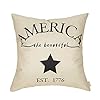 July 4th Farmhouse Decorative Throw Pillow Cover America Est 1776 Patriotic Sign Decoration Rustic Home Decor Cotton Linen Cushion Case for Sofa Couch 18 x 18