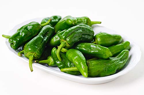 Pimentos De Padron Hot Pepper 10+ Seeds Pimentos De Padron Hot Pepper 10+ Seeds