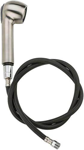 Pfister 920-048S Cabezal de pulverización extraíble, acero inoxidable