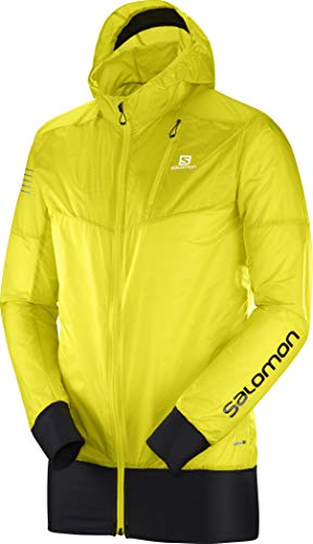 Image of Salomon FAST WING HYBRID Men