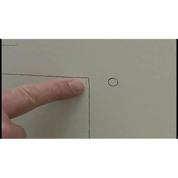 Perfect Pet The AllWeather Energy Efficient Dog Door, Medium, 7.25" x