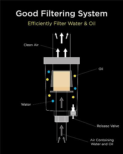 InoKraft D1 LVLP Spray Gun Premium Kit & Oil-Water Separator