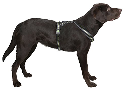 Kerbl Pet Geschirr Xenos 20mmx40-60cm, schwarz/Neongelb