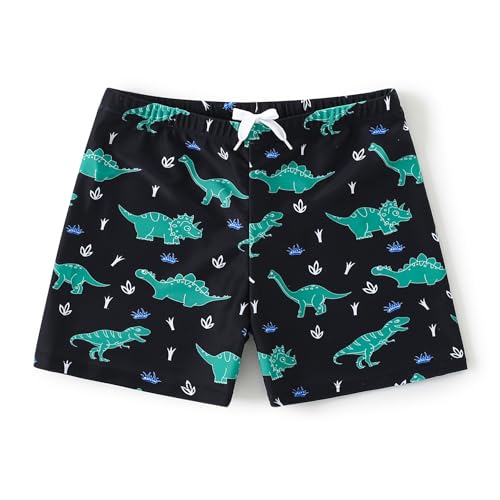 AMIYAN Boys Swim Trunks Toddler Swim Board Shorts Quick Dry Beach Swimwear Trunks Shorts Bathing Bottom for Boy Black Dinosuar XL 4-5T