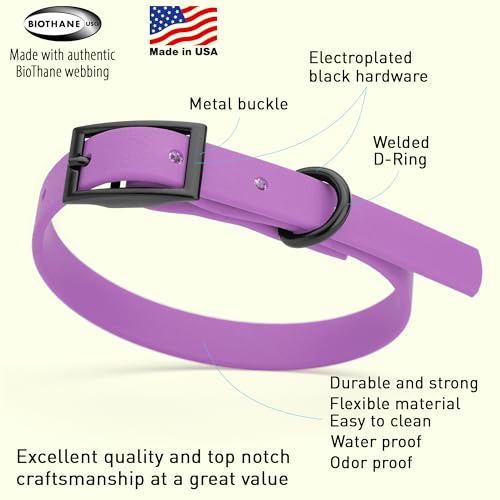 Image of Dogline Biothane Waterproof Dog Collar Strong Coated Nylon Webbing with Black Hardware Odor- Proof for Easy Care Easy to Clean High Performance Fits Small Medium or Large Dogs, Amethyst Purple
