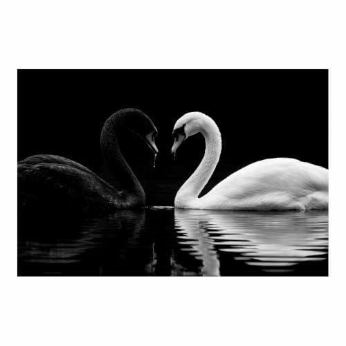 Toile couple de cygnes XENIOU decoration murale noir et blanc pour salon 70x100cm