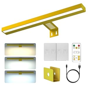 Starxing Wiederaufladbare Bilderleuchte DZ030