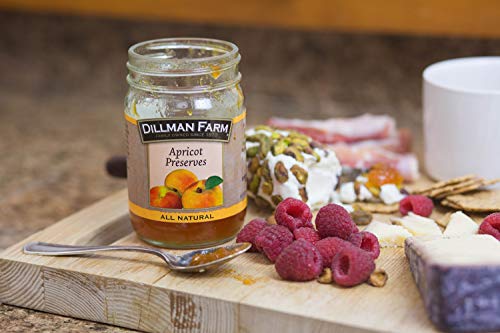 Dillman Farm All Natural Apricot Preserves, Gluten-Free, Non-Gmo, Vegan, Kosher, Preservative Free, Corn Syrup Free - Made In Usa, 16Oz (Pack Of 6) #TOP4