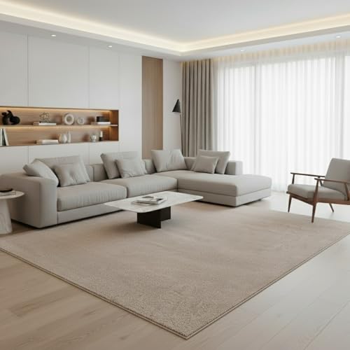 Jimri Moderner Teppich Wohnzimmer – Weich, Strapazierfähig &...