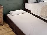 AFI, Trundle Bed Twin, Espresso