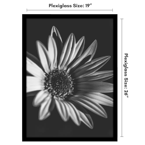 Americanflat 19x26 Picture Frame with Polished Plexiglass - Black Picture Frame - Wide Photo Frames Made of Engineered Wood for Vertical or Horizontal Wall Display - Epic Collection - Black